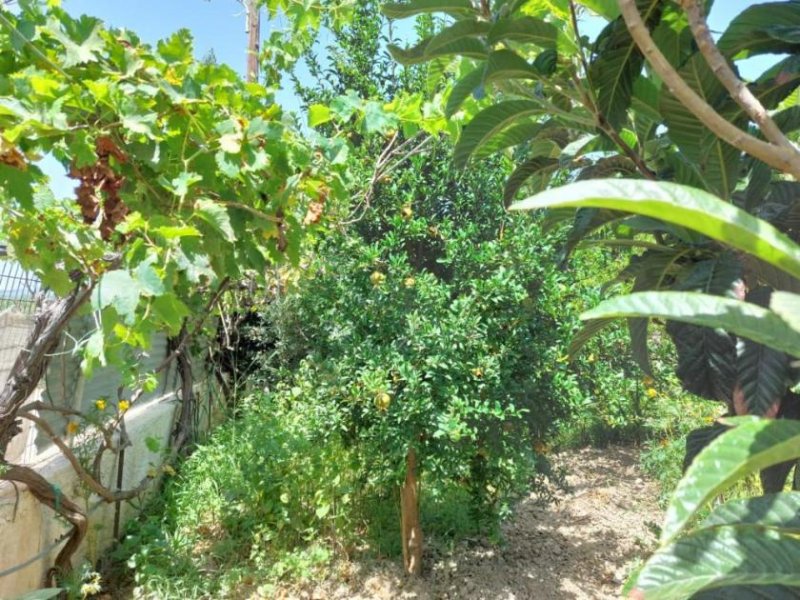Sitia Ostkreta, Sitia: Stadthaus in fußläufiger Entfernung zum Meer zu verkaufen Haus kaufen